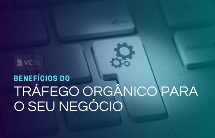 trafego organico para o seu negócio