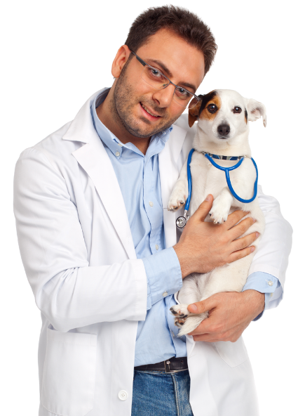 Criação de site para Veterinário e Petshop
