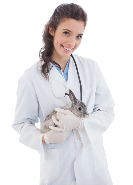Marketing para Veterinário e Petshop